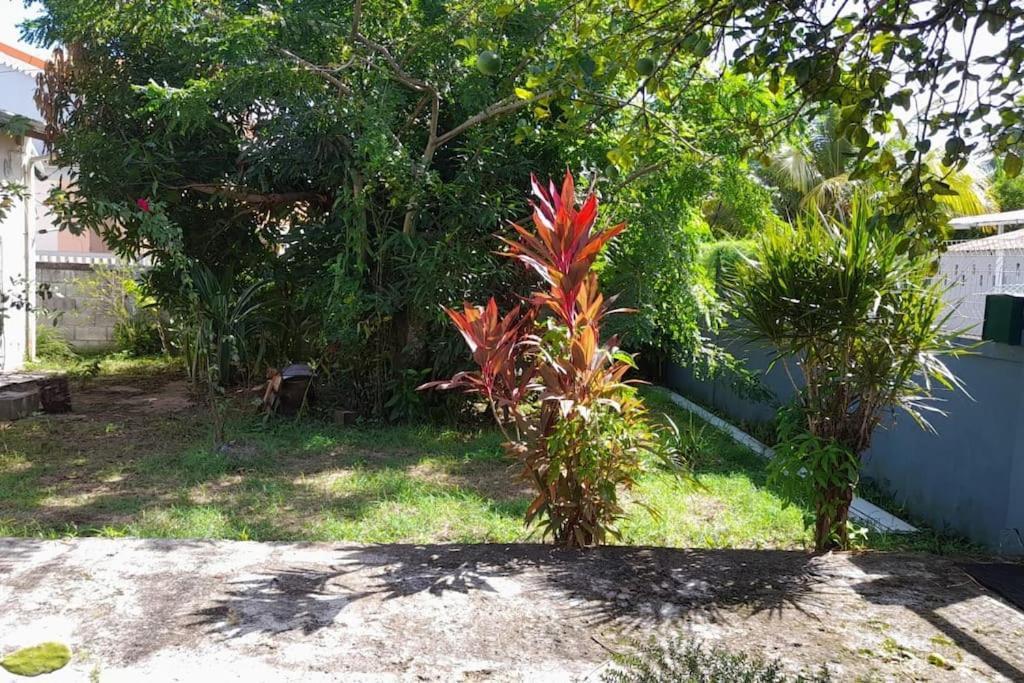 La Petite Maison, Spacieuse, Avec Jardin / Parking Sainte-Rose Exterior photo